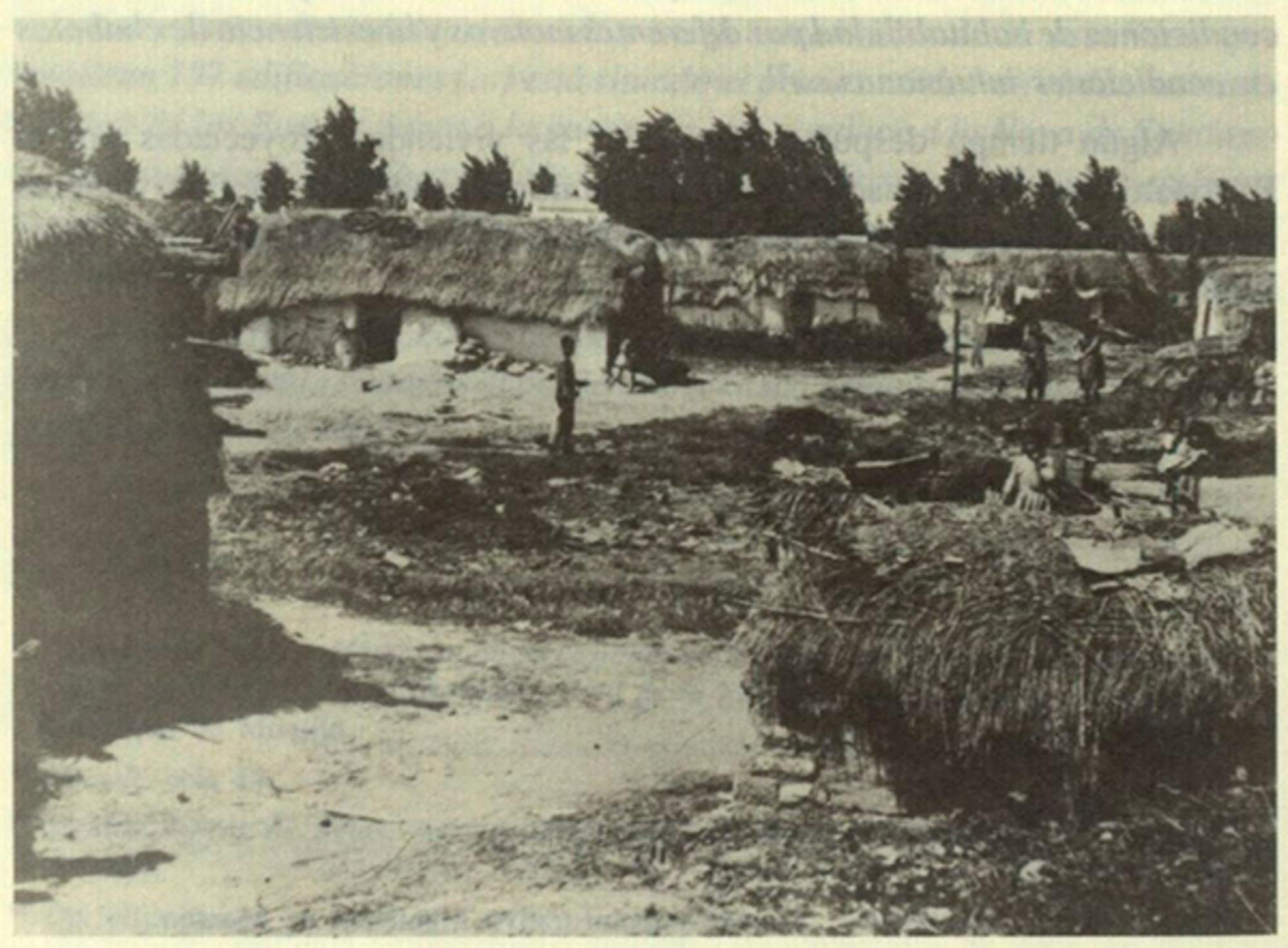 Poblado Montijo 4